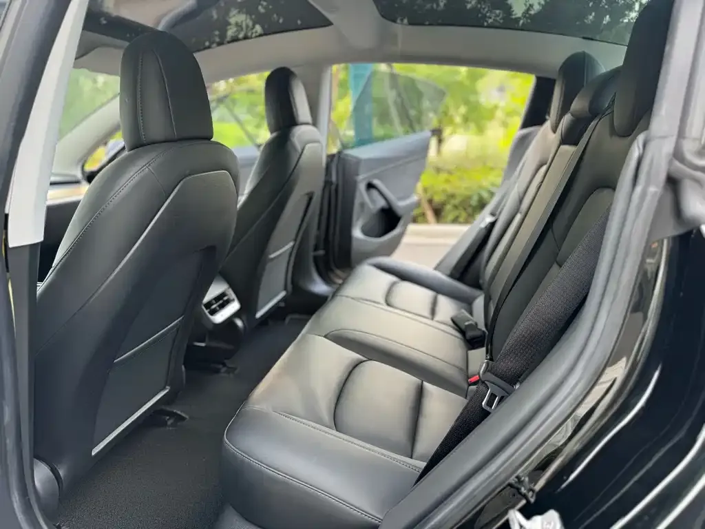 Tesla Model 3 2021 из CN, фото 2
