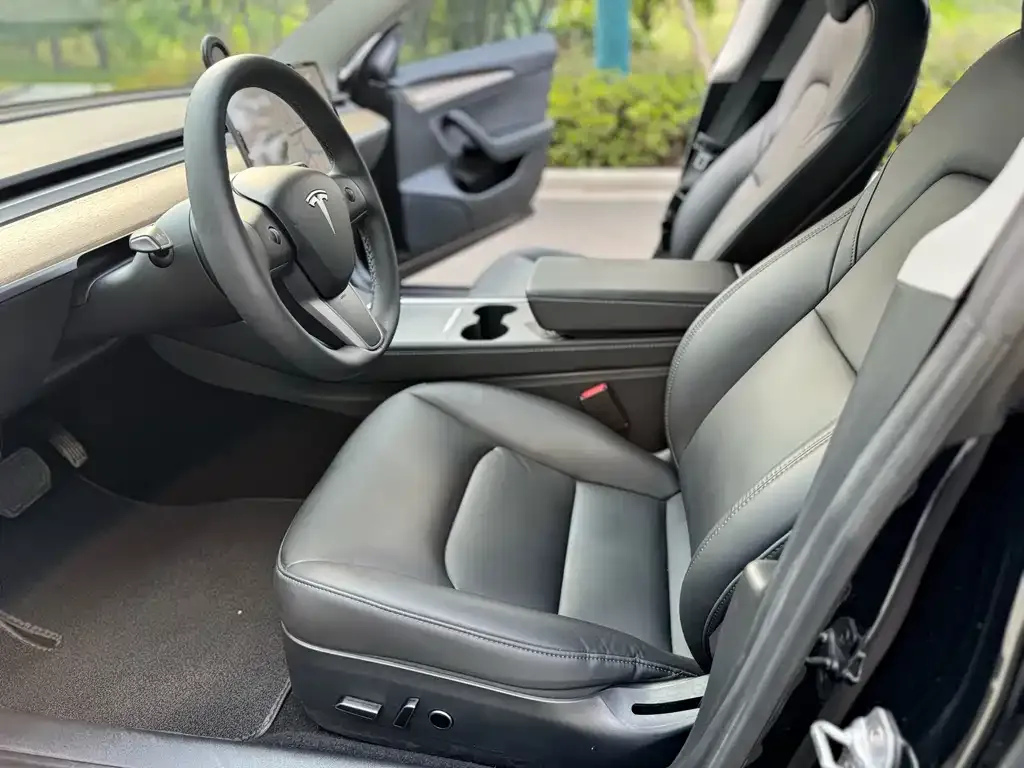 Tesla Model 3 2021 из CN, фото 3