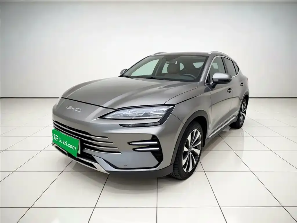 BYD PLUS New Energy