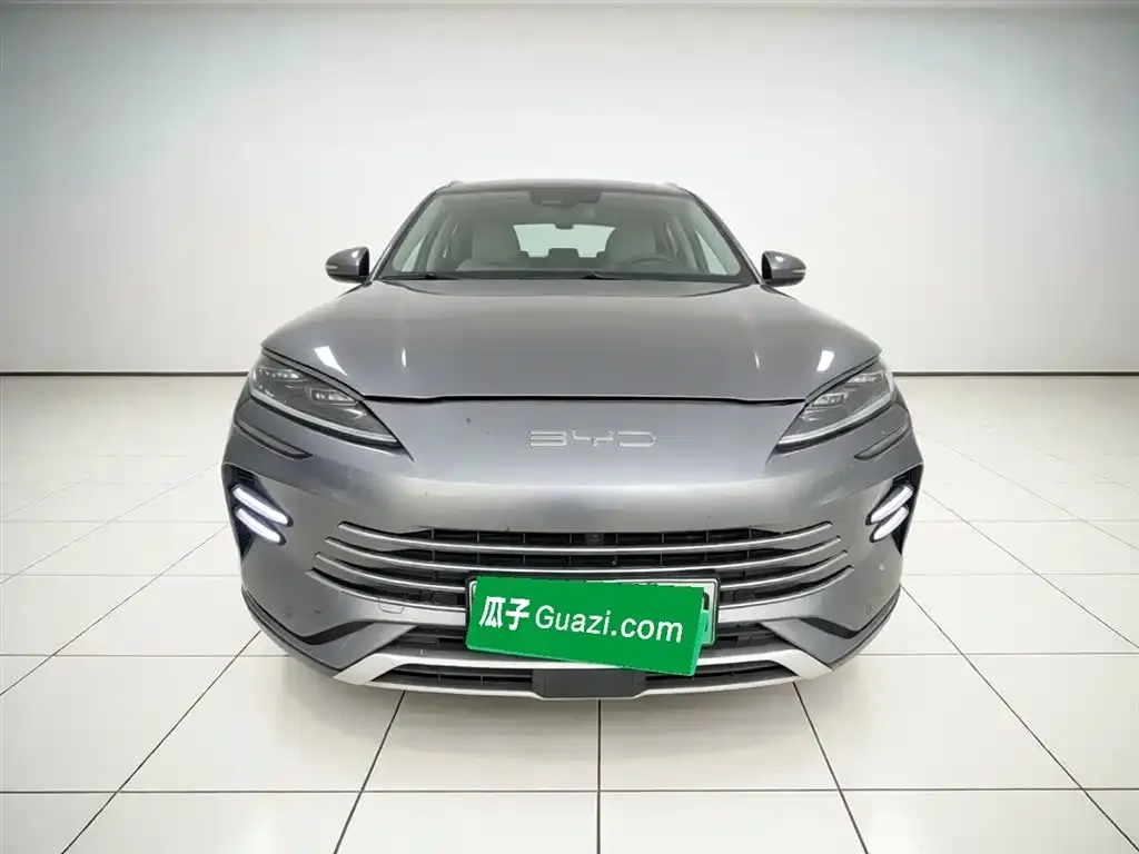 BYD PLUS New Energy 2023 из CN, фото 2