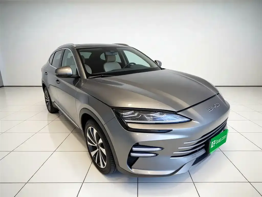 BYD PLUS New Energy 2023 из CN, фото 7