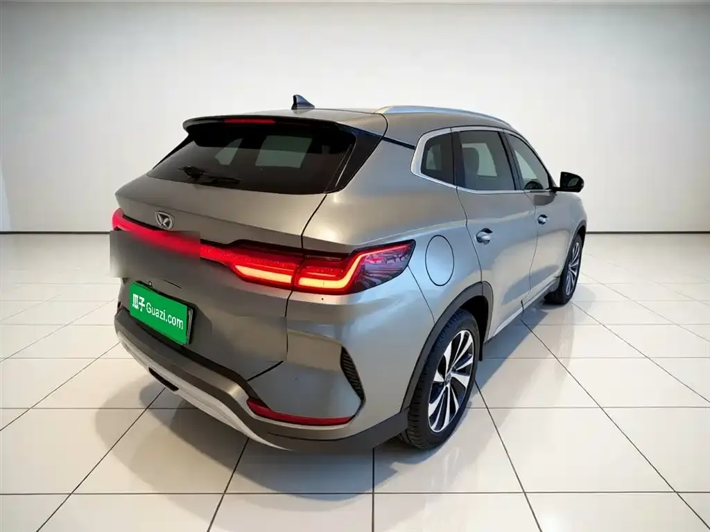 BYD PLUS New Energy 2023 из CN, фото 6