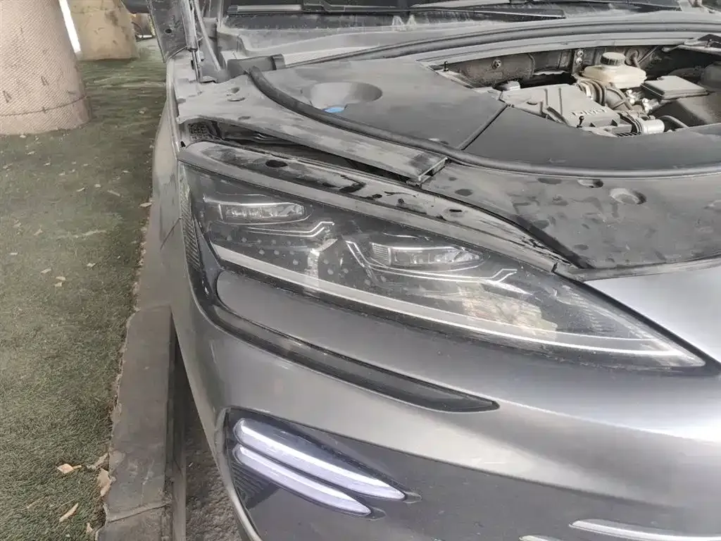 BYD PLUS New Energy 2023 из CN, фото 4