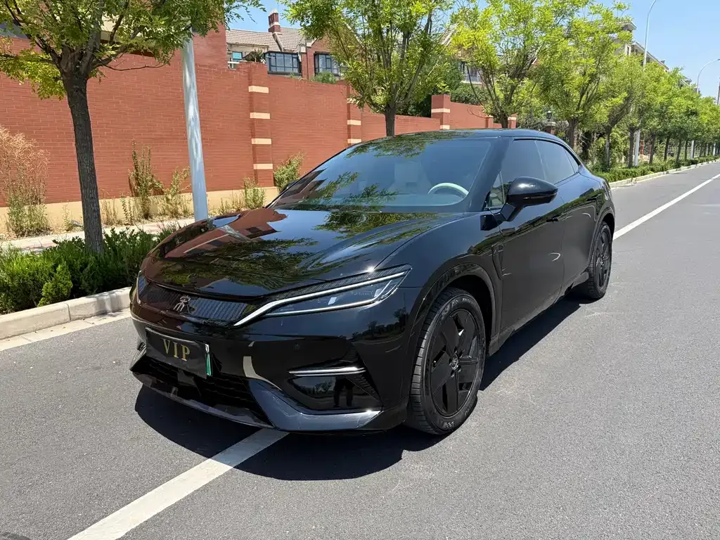 BYD L EV