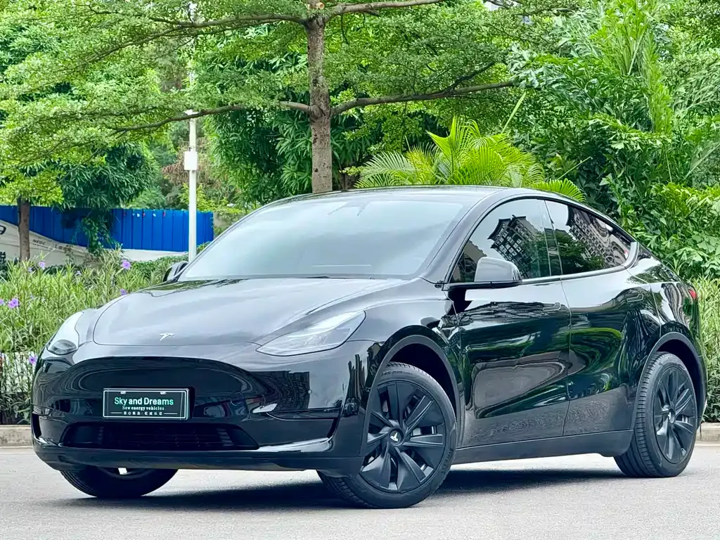 Tesla Model Y — фото 1