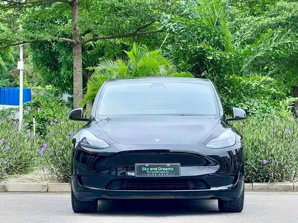 Tesla Model Y — фото 8