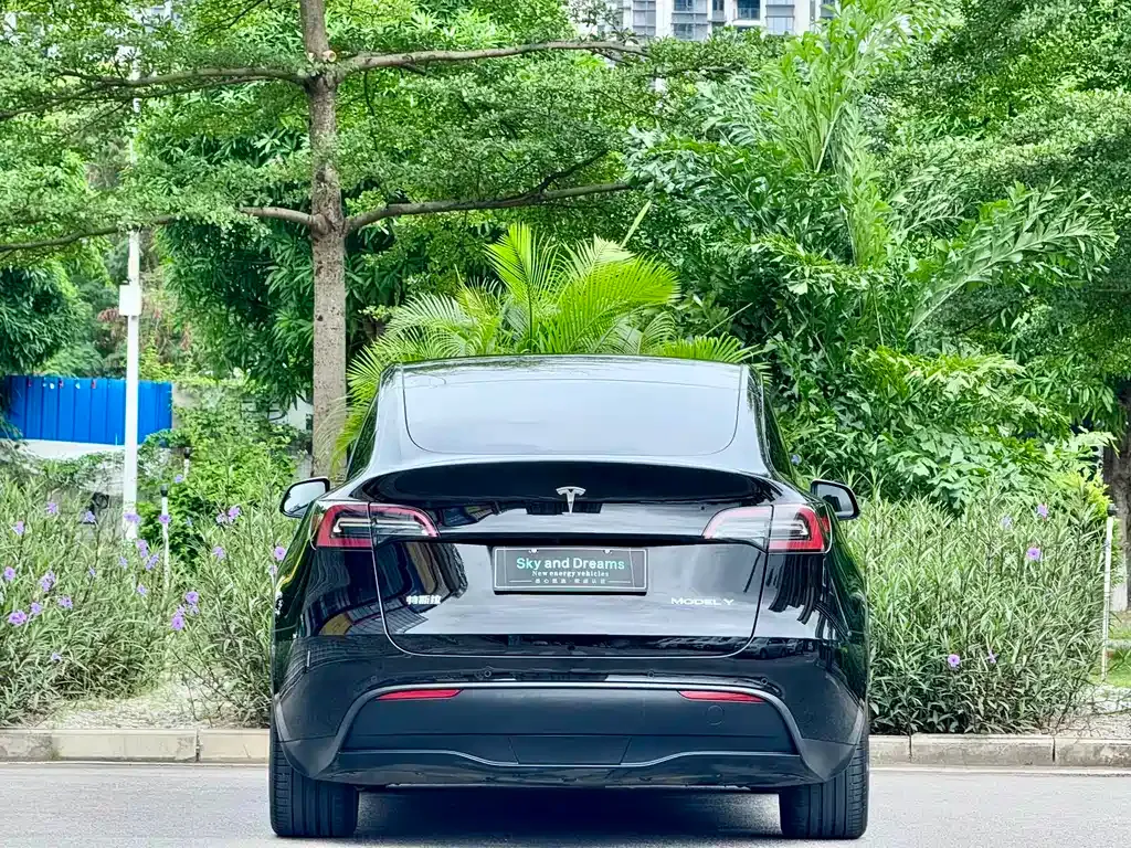 Tesla Model Y — фото 6