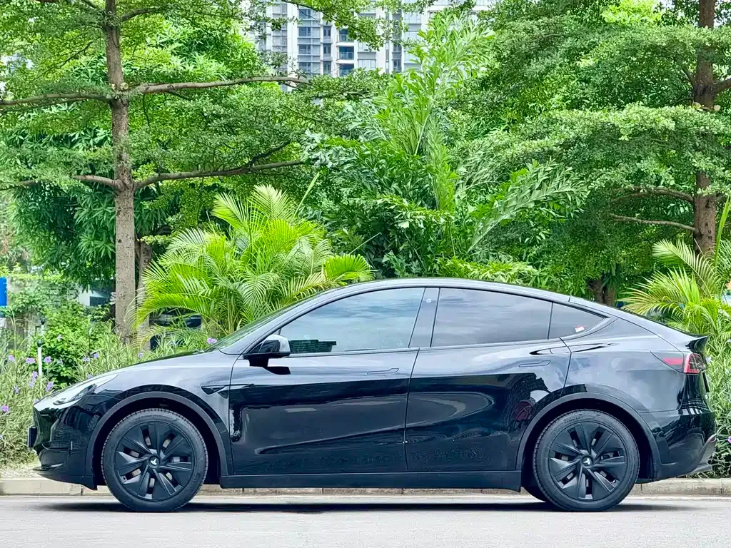 Tesla Model Y — фото 10