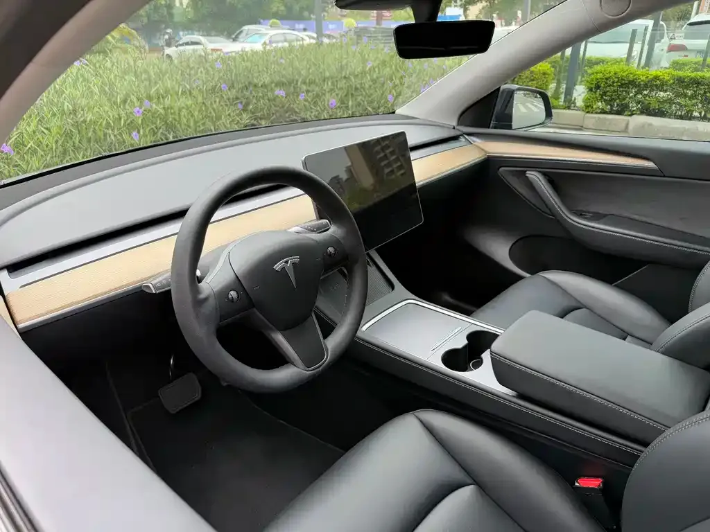 Tesla Model Y — фото 3