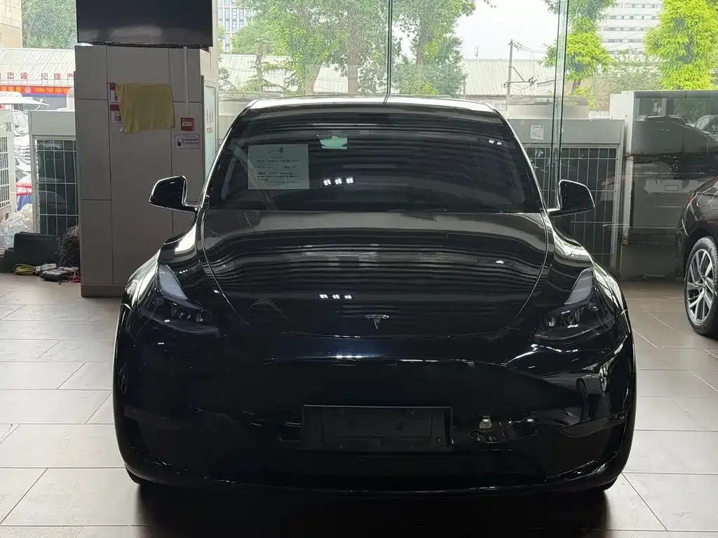 Tesla Model Y — фото 6