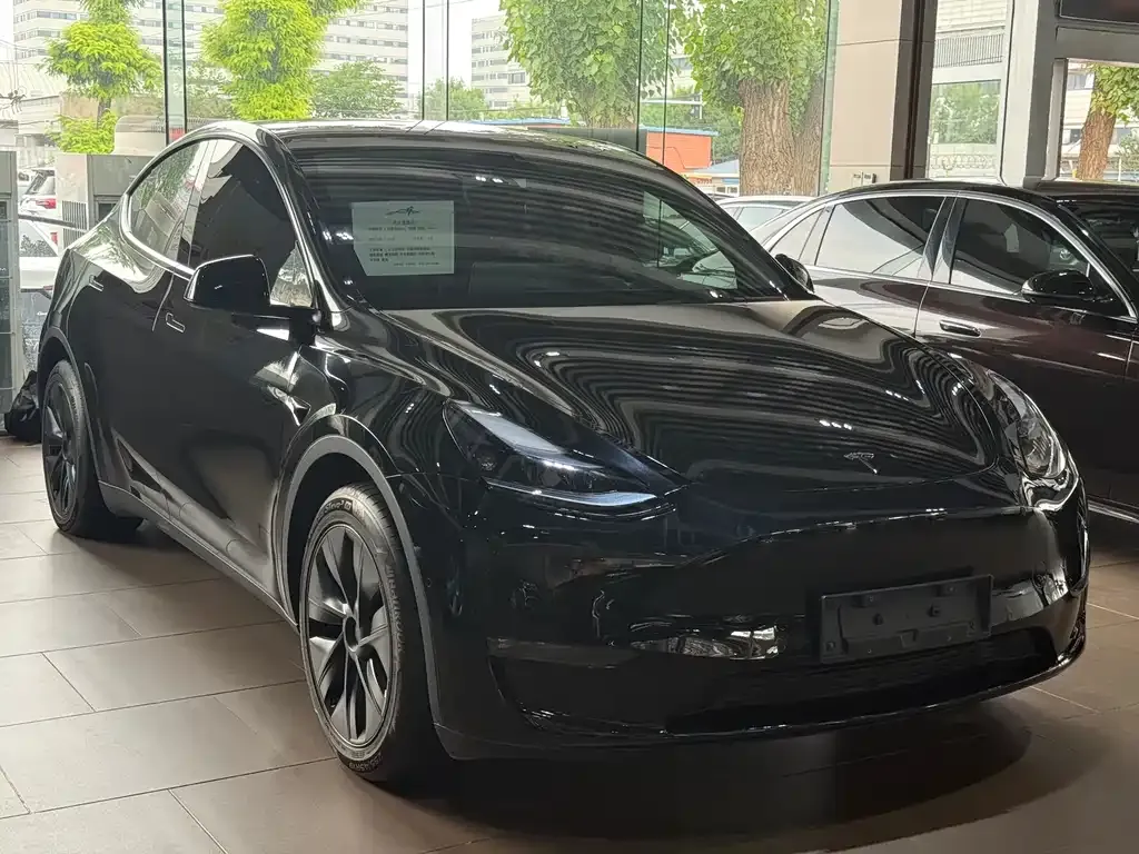 Tesla Model Y — фото 2