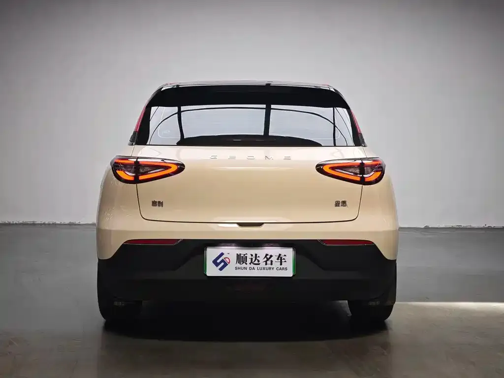 Geely Starburst — фото 4