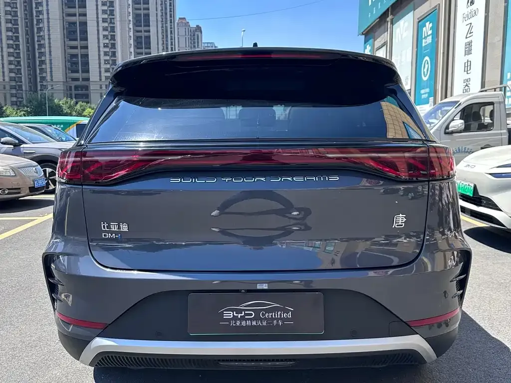BYD Tang New Energy — фото 10