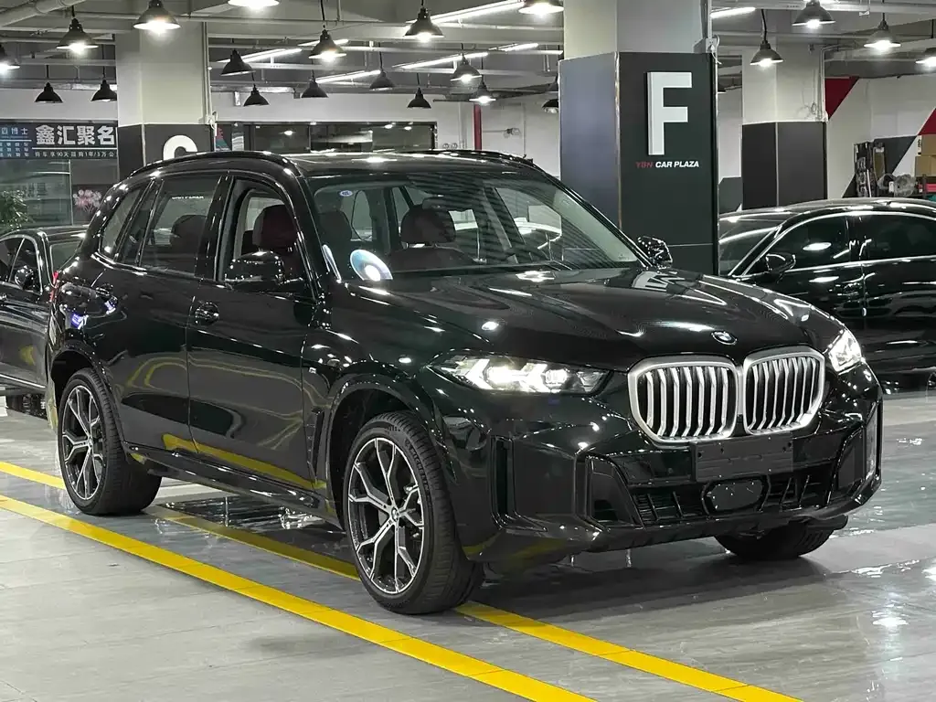 BMW X5 — фото 10