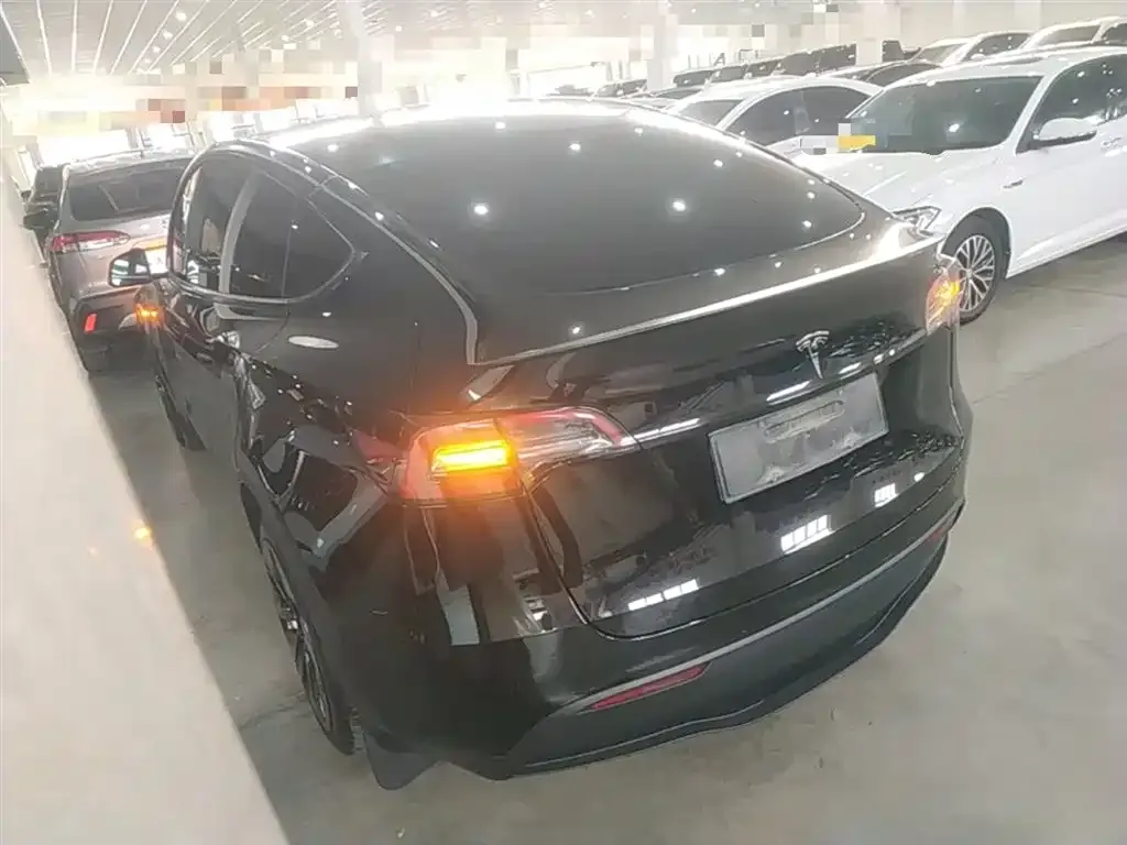 Tesla Model Y — фото 2