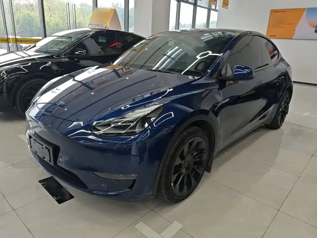Tesla Model Y — фото 8