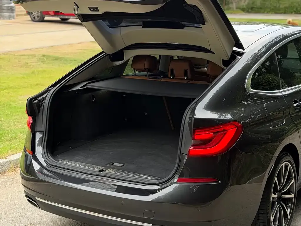 BMW 6 Series GT 2021 из CN, фото 7