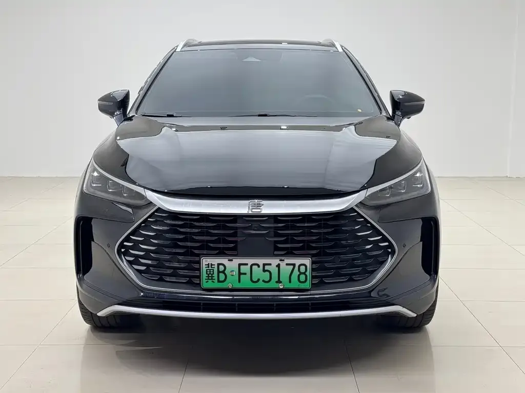BYD Tang New Energy — фото 2