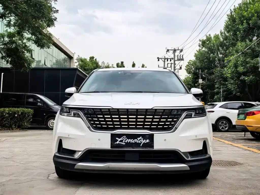 Kia Carnival 2022 из CN, фото 4