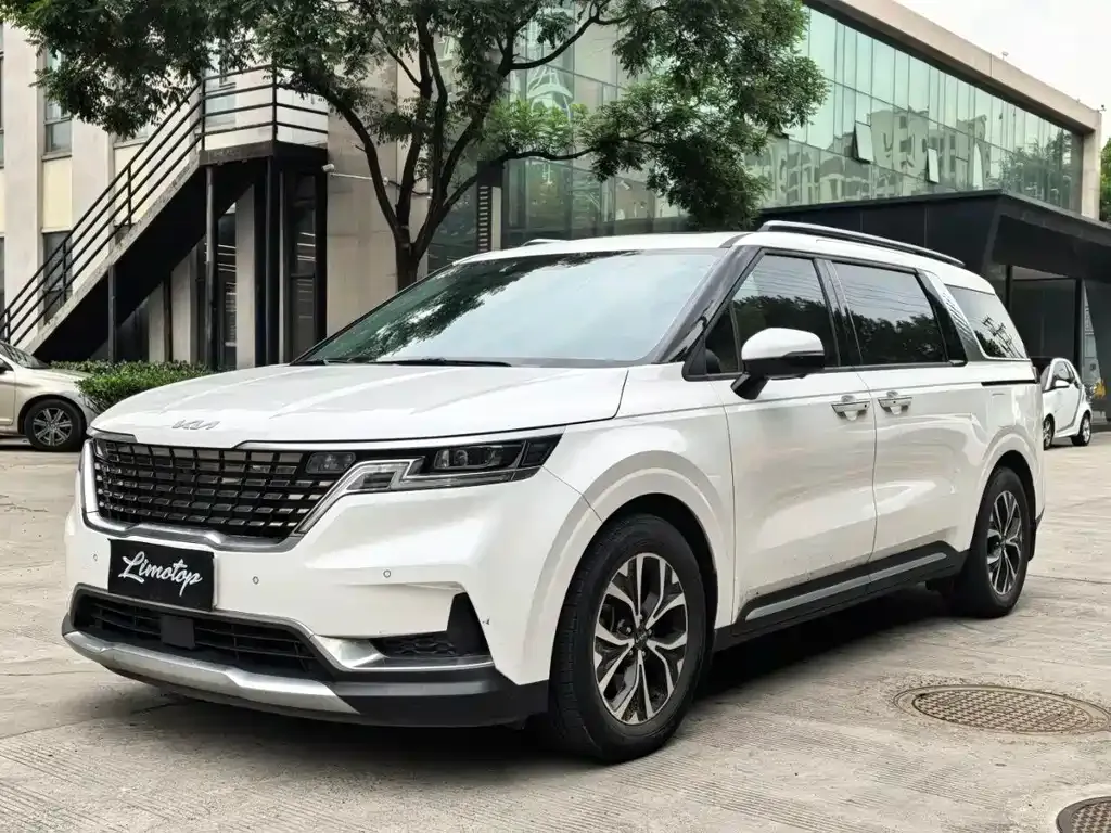 Kia Carnival 2022 из CN, фото 6