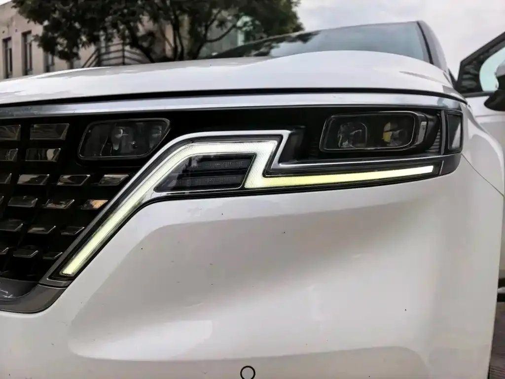 Kia Carnival 2022 из CN, фото 7