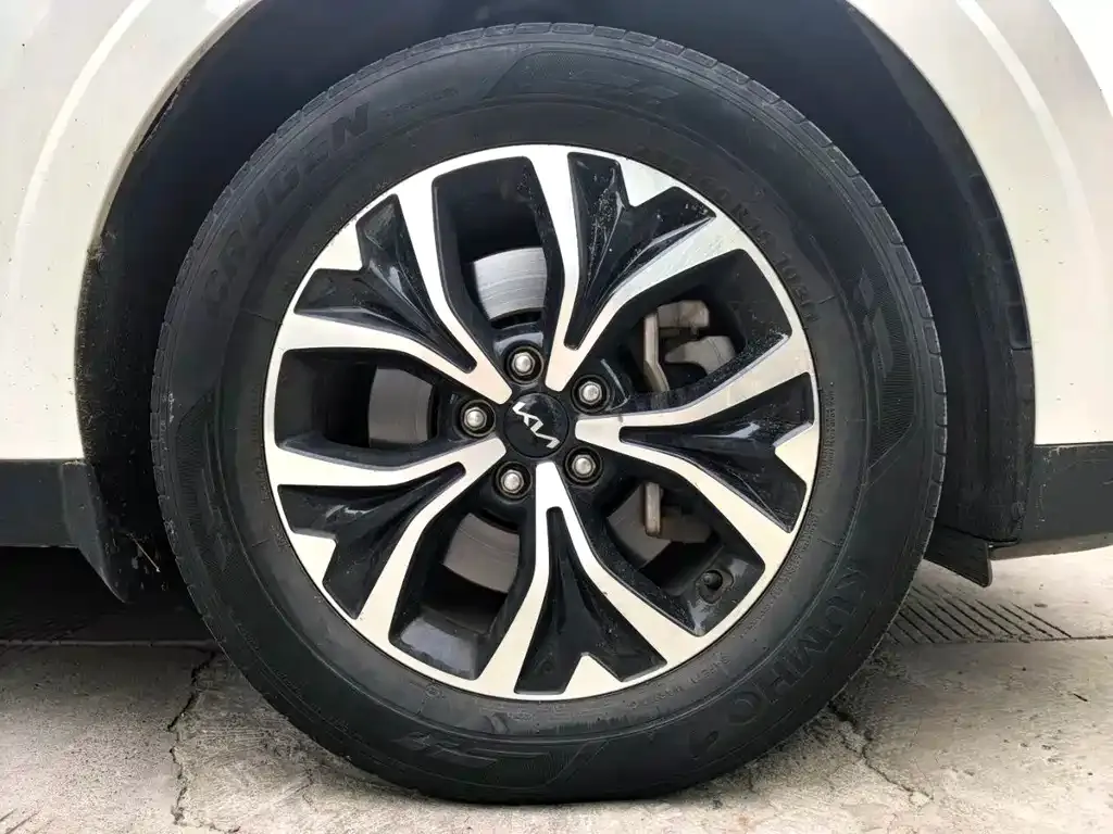Kia Carnival 2022 из CN, фото 2