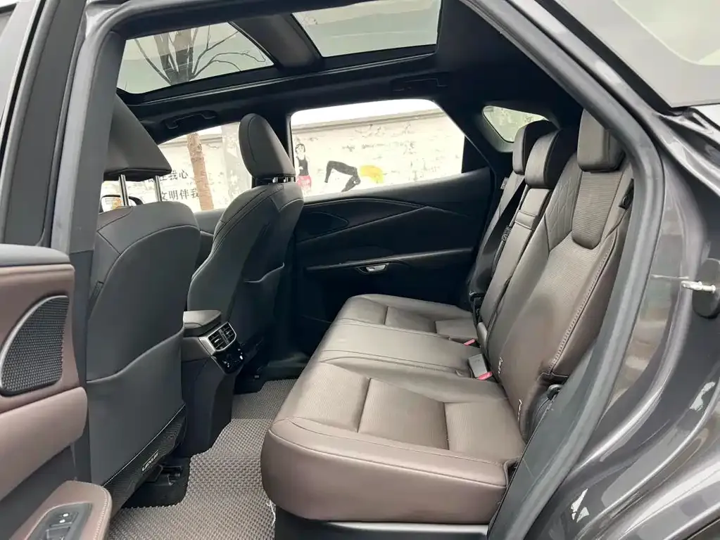 Lexus RX New Energy 2023 из CN, фото 5