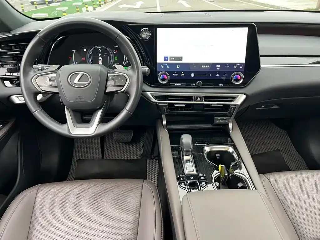 Lexus RX New Energy 2023 из CN, фото 10