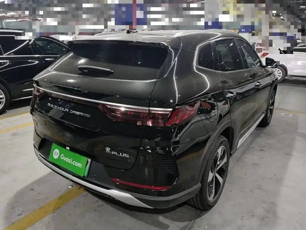 BYD PLUS New Energy — фото 9