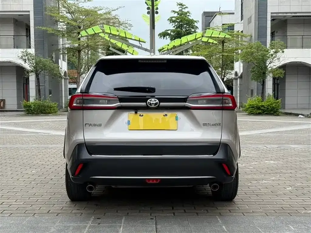 Toyota Wildlander 2023 из CN, фото 9