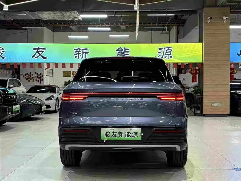 BYD Pro New Energy — фото 6