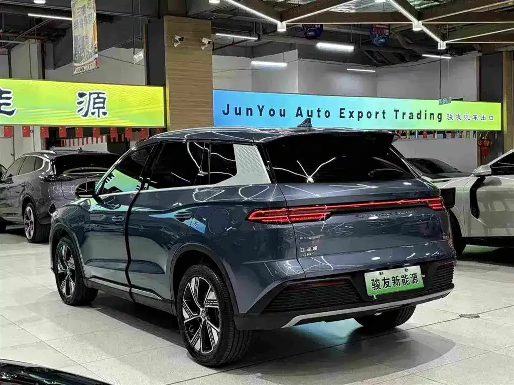 BYD Pro New Energy — фото 8
