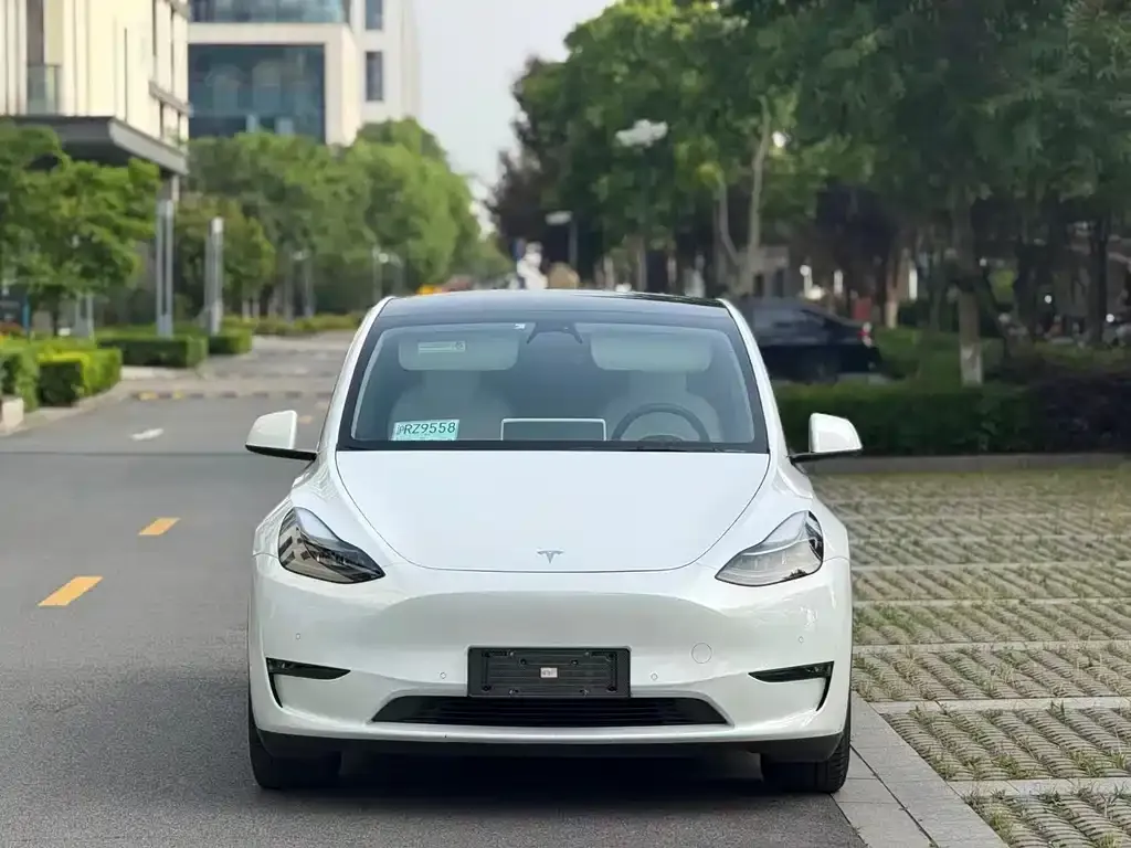 Tesla Model Y — фото 5