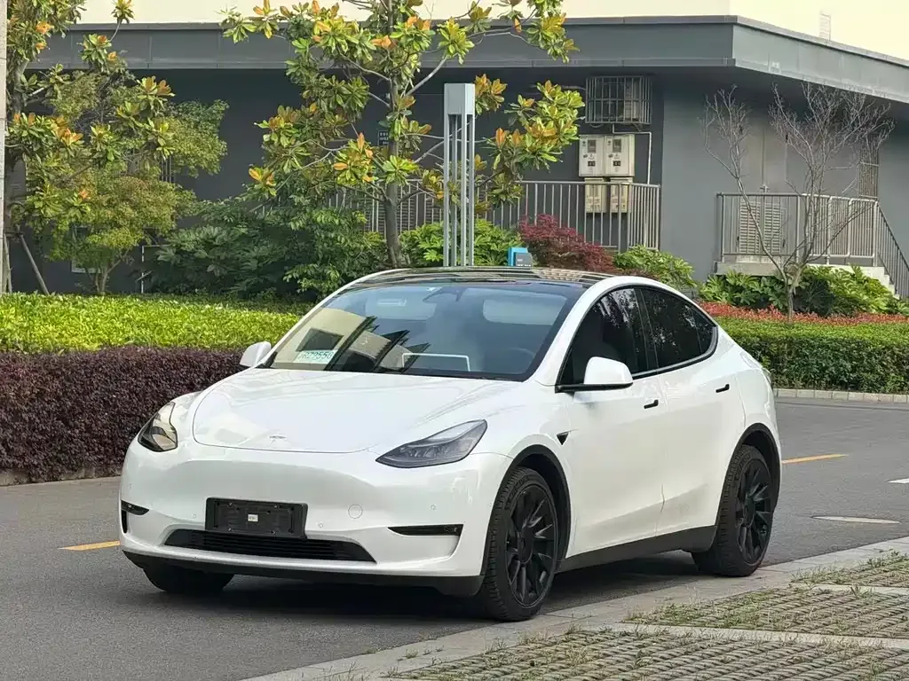 Tesla Model Y — фото 8