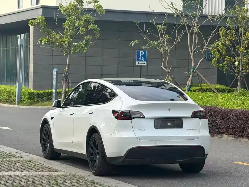 Tesla Model Y — фото 9