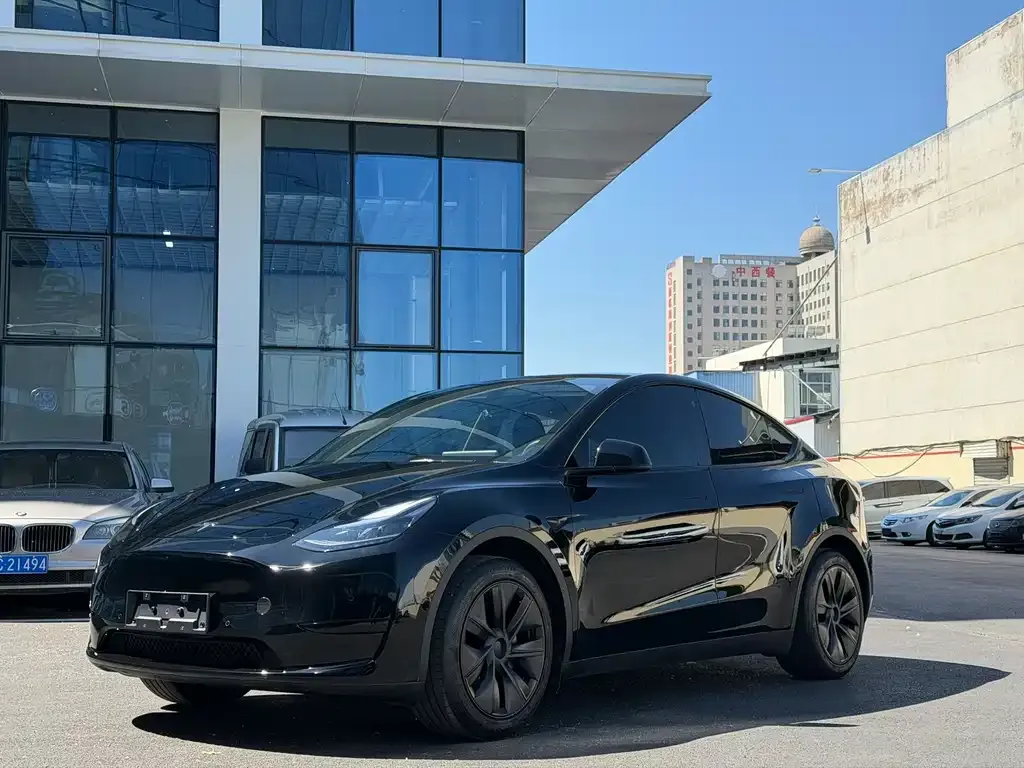 Tesla Model Y — фото 1