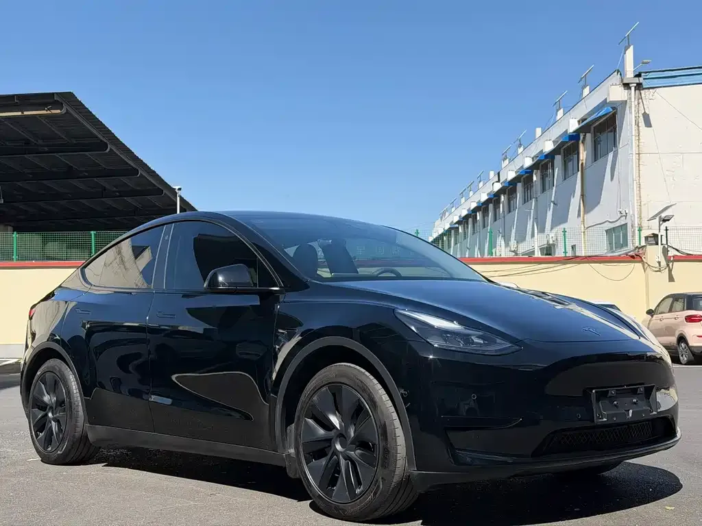 Tesla Model Y — фото 8