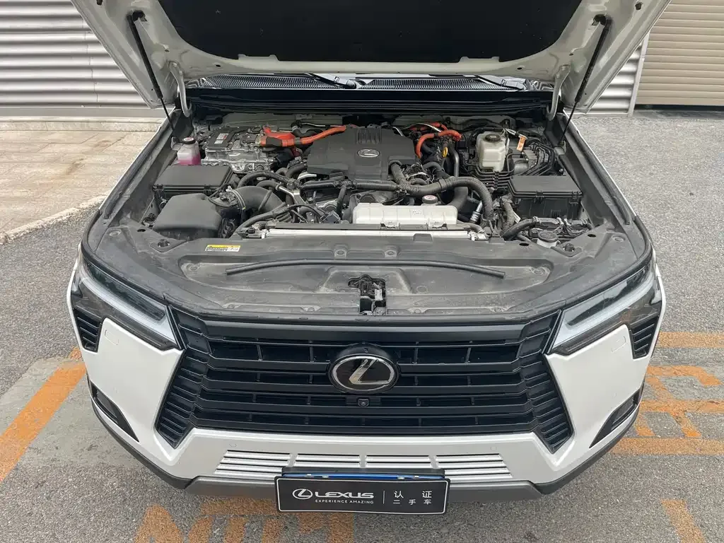 Lexus GX 2024 из CN, фото 9