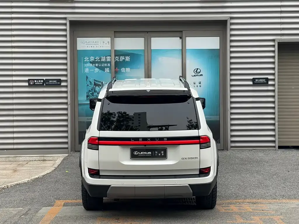 Lexus GX 2024 из CN, фото 4