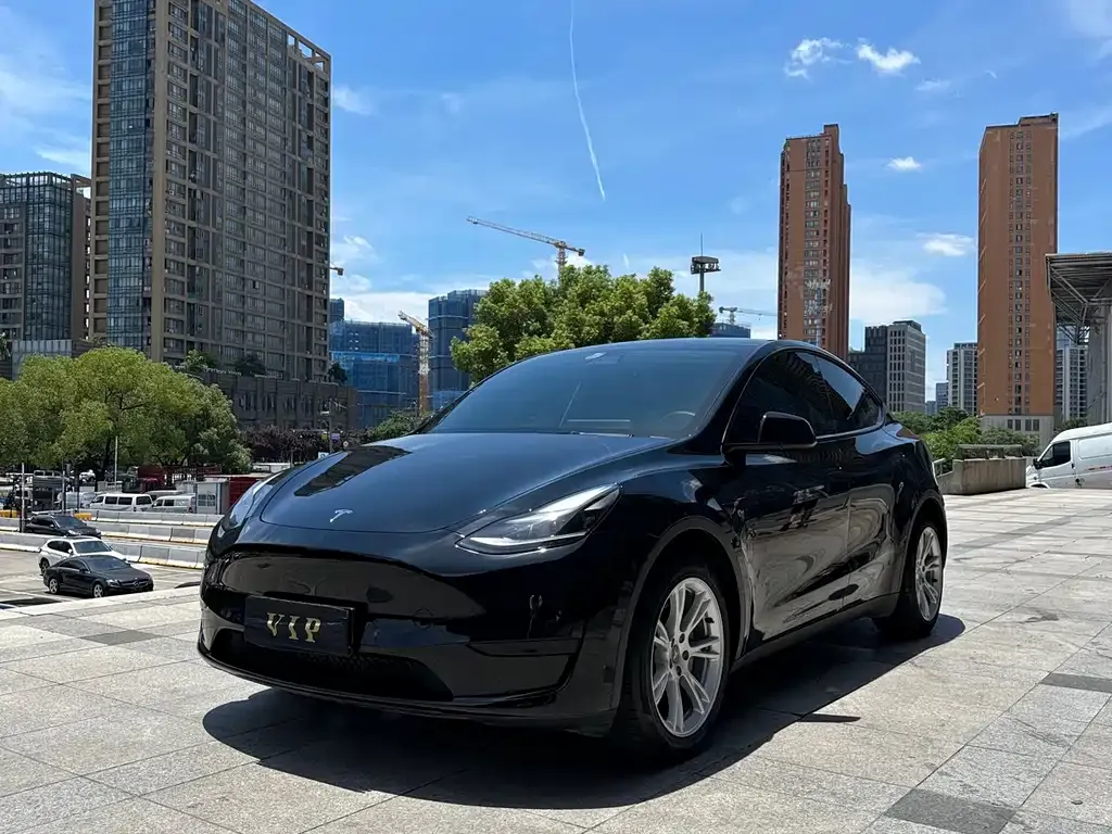 Tesla Model Y — фото 1