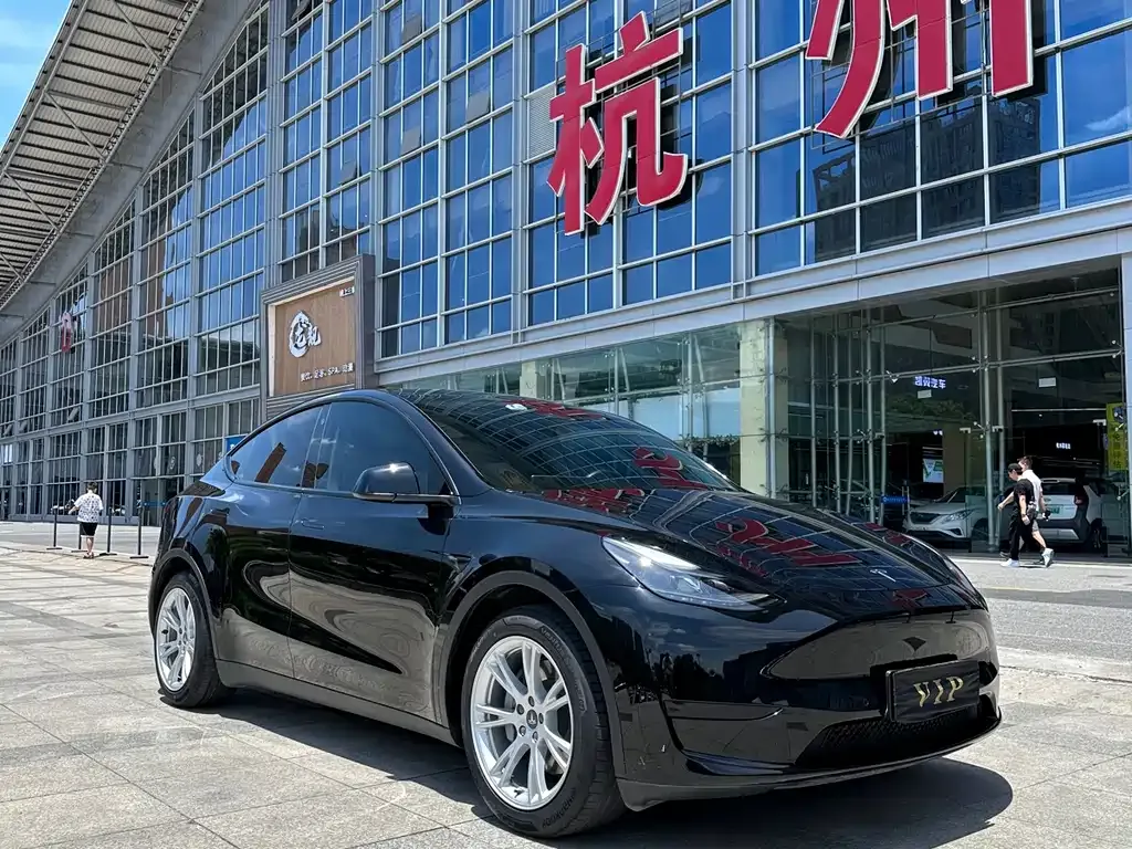 Tesla Model Y — фото 10