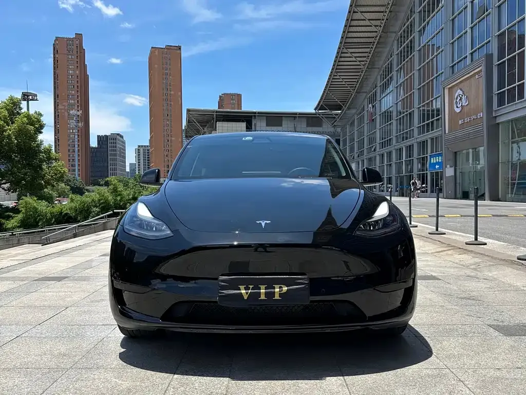 Tesla Model Y — фото 9