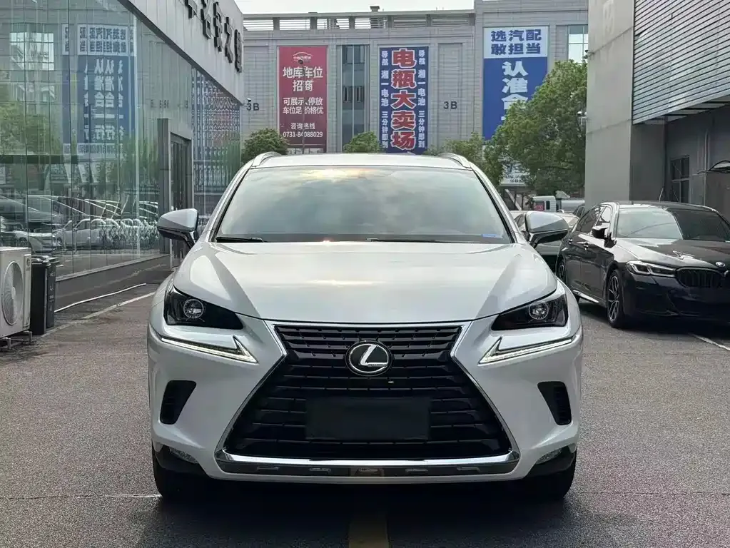 Lexus NX 2021 из CN, фото 5