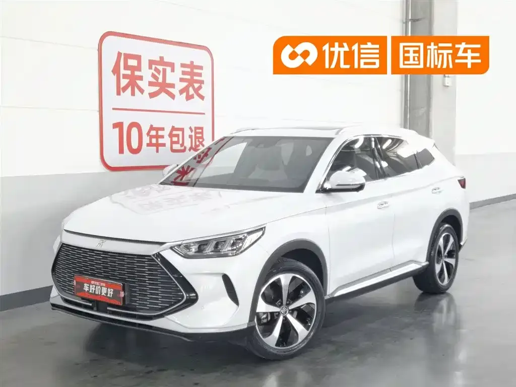 BYD PLUS New Energy — фото 1