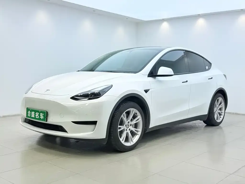 Tesla Model Y — фото 1