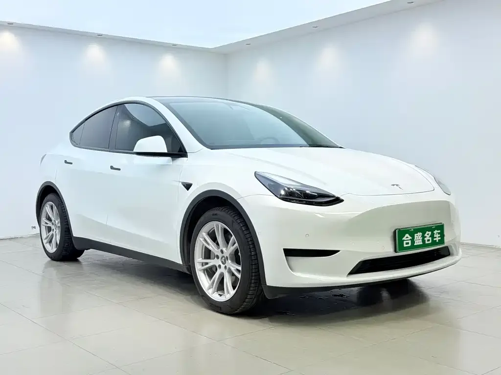 Tesla Model Y — фото 2