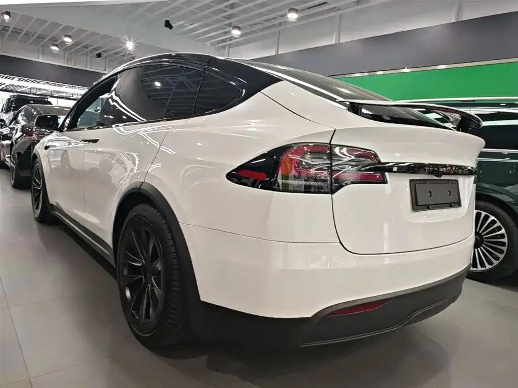 Tesla Model X 2023 из CN, фото 10