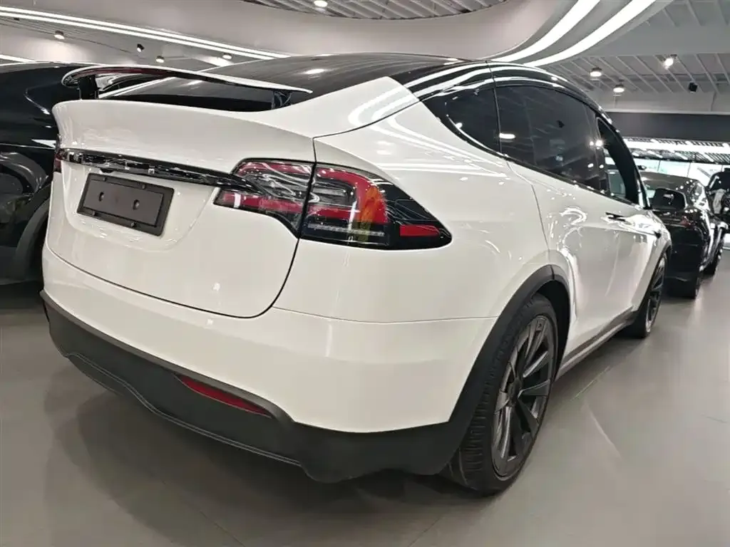 Tesla Model X 2023 из CN, фото 5
