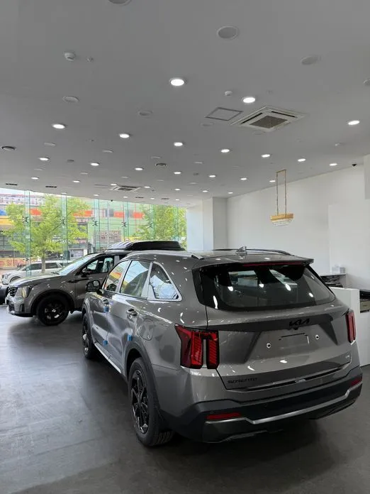 Kia Sorento — фото 10