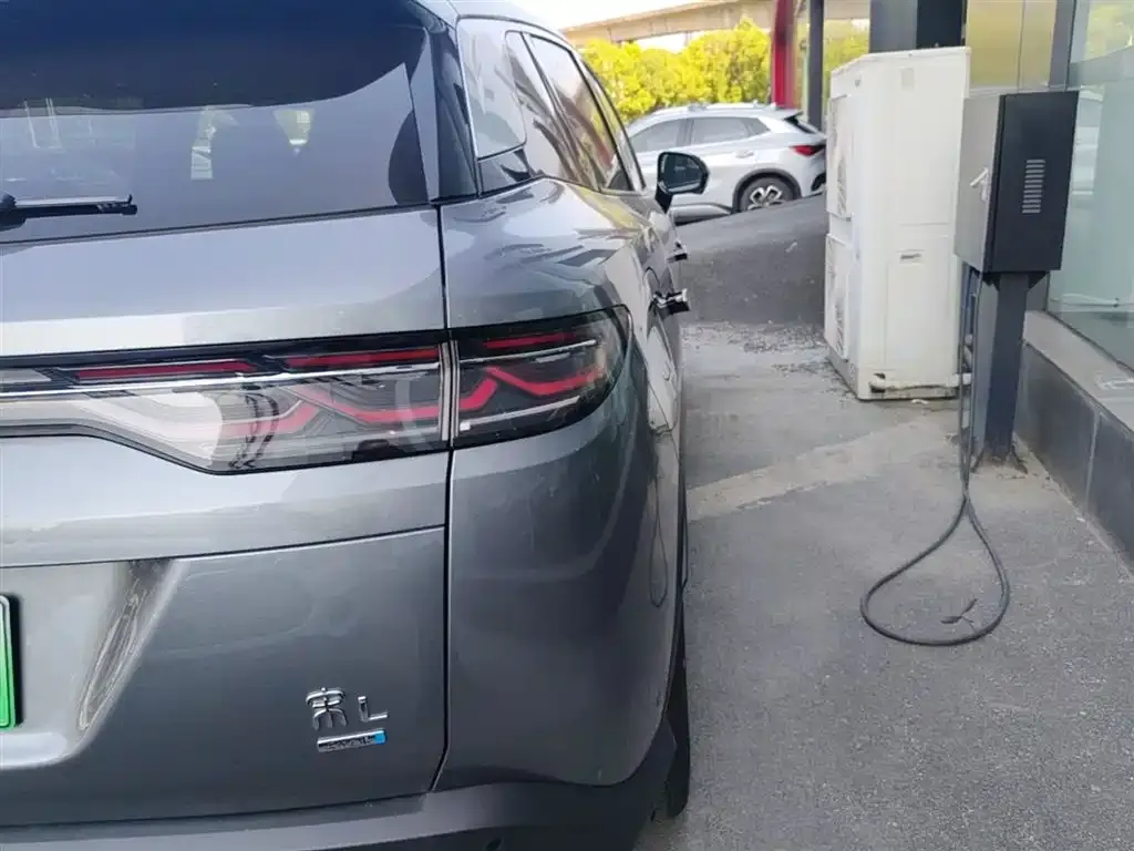 BYD L DM-i — фото 4